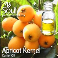 Carrier Oil Apricot Kernel - 100ml