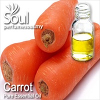 Pure Essential Oil Carrot - 50ml - Click Image to Close