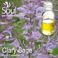 Pure Essential Oil Clary Sage - 50ml - Click Image to Close
