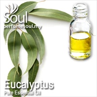 Pure Essential Oil Eucalyptus - 50ml - Click Image to Close