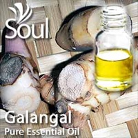 Pure Essential Oil Galangal - 50ml - Click Image to Close