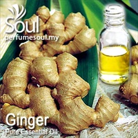 Pure Essential Oil Ginger - 50ml - Click Image to Close