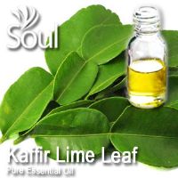 Pure Essential Oil Kaffir Lime Leaf - 50ml - Click Image to Close