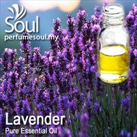 Pure Essential Oil Lavender - 10ml