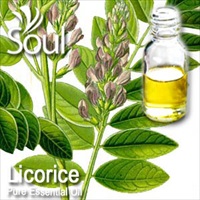 Pure Essential Oil Licorice - 50ml