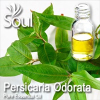 Pure Essential Oil Persicaria Odorata - 10ml - Click Image to Close